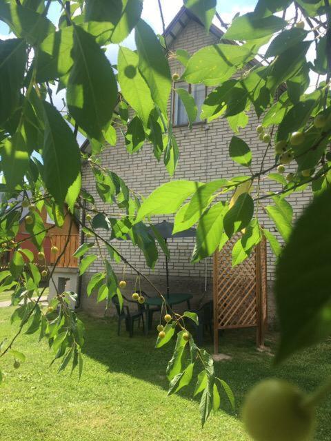 Apartament Pod Wisnia Supraśl المظهر الخارجي الصورة